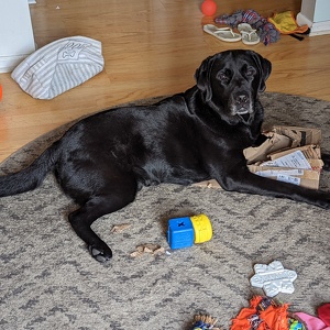 Fundraising Page: Lindsay McCole